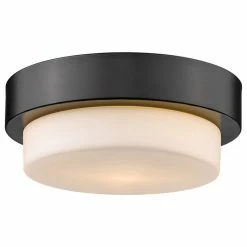 Best Sale π Golden Lighting Versa Flush Mount, Matte Black, 8.5" π