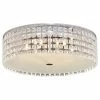 Flash Sale 🎁 Bazz Inc. Round Ceiling Fixture, 16" 💯