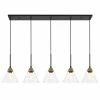 Deals 🎉 Elegant Furniture & Lighting Elegant Lighting LD4017D48 Histoire 5 Light 47"W Linear Pendant - Brass / Black ✨