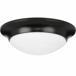Flash Sale β Progress Lighting 1-Light 11.5" Etched Glass Flush Mount, Black π