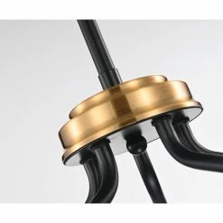 Top 10 ⌛ Edvivi Lighting 5-Light Black And Antique Gold Modern Contemporary Sputnik Chandelier 😉 -ceiling lighting store a6f1d2330d681ec0 0710 w800 h800 b0 p0