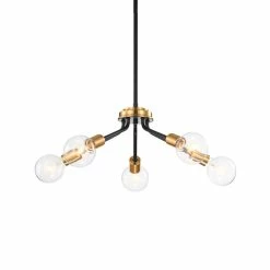 Top 10 β Edvivi Lighting 5-Light Black And Antique Gold Modern Contemporary Sputnik Chandelier π