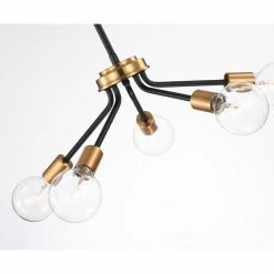 Top 10 ⌛ Edvivi Lighting 5-Light Black And Antique Gold Modern Contemporary Sputnik Chandelier 😉 -ceiling lighting store b9a134f00d681ecb 0710 w800 h800 b0 p0