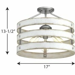 Buy 😉 Progress Lighting Gulliver Semi-Flush/Convertible 🥰 -ceiling lighting store df1162b80f1074cf 6493 w800 h800 b1 p0