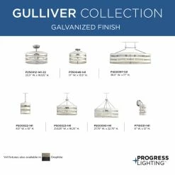 Buy 😉 Progress Lighting Gulliver Semi-Flush/Convertible 🥰 -ceiling lighting store ea41396d0ef21c7e 6493 w800 h800 b0 p0