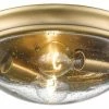 New 💯 Millennium Lighting Inc Millennium Lighting Flushmount, Heirloom Bronze, Clear Seeded 🎁