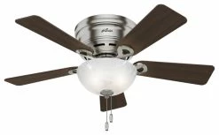 Outlet 👍 Hunter Fan Company Hunter Haskell 42" 2-Light Ceiling Fan In Brushed Nickel 🔥