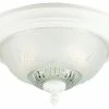 Best Pirce ✔️ Westinghouse 2-Light Flush Mount Floral & Leaf Glass Ceiling Fixture ⭐