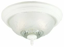 Best Pirce ✔️ Westinghouse 2-Light Flush Mount Floral & Leaf Glass Ceiling Fixture ⭐