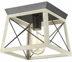 Promo 🔔 Progress Lighting P350022 Briarwood 10"W Outdoor Flush Mount - Graphite ⭐